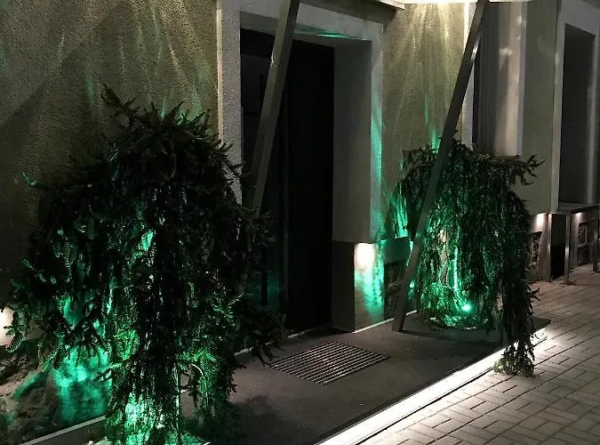 Pod Papuga Daire Kościerzyna