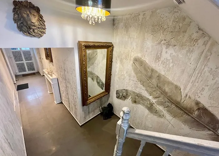 Pod Papuga Kościerzyna